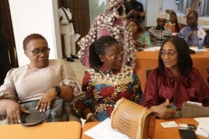 US Africa Trade Commission in collaboration with JD Global Light Consult Ltd Business Networking Meeting